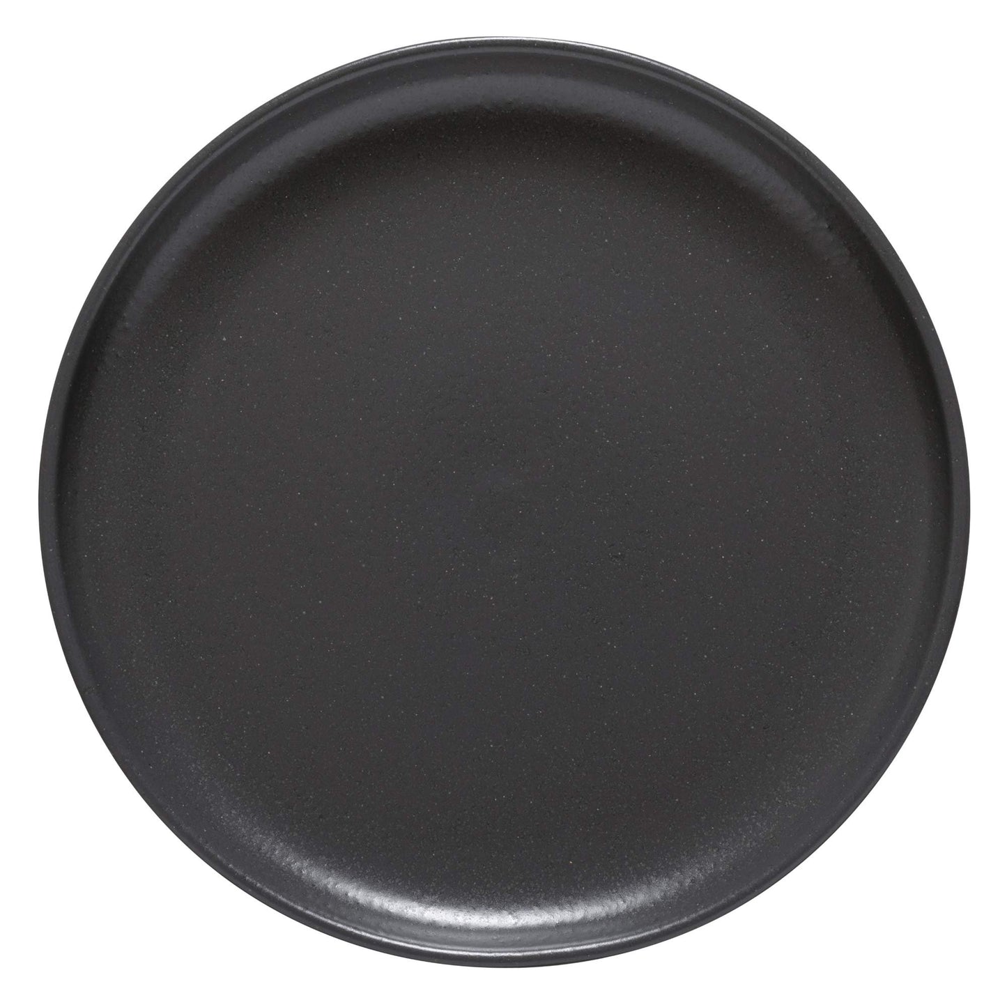 Casafina Pacifica Collection Stoneware Ceramic Dinner Plate 11"