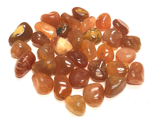 Zentron Crystal Collection: Tumbled Natural Carnelian Stones -1" Smooth Pieces
