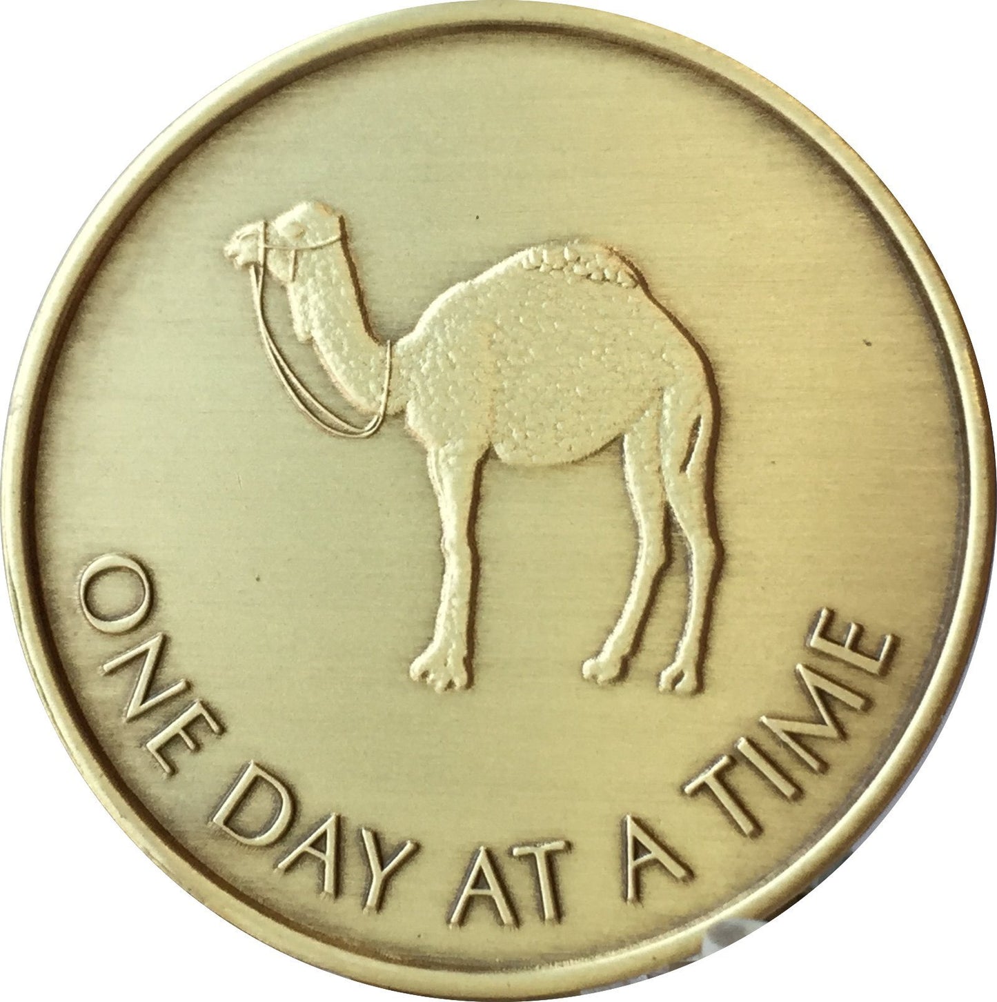 Camel One Day at A Time (24 Hr) - Bronze AA (Alcoholics Anonymous) -ACA-AL-ANON - Sober / Sobriety / Affirmation / Desire / Medallion / Coin / Chip by Generic