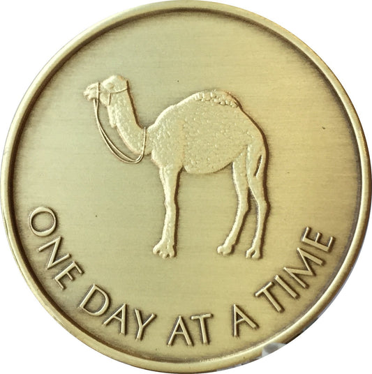 Camel One Day at A Time (24 Hr) - Bronze AA (Alcoholics Anonymous) -ACA-AL-ANON - Sober / Sobriety / Affirmation / Desire / Medallion / Coin / Chip by Generic