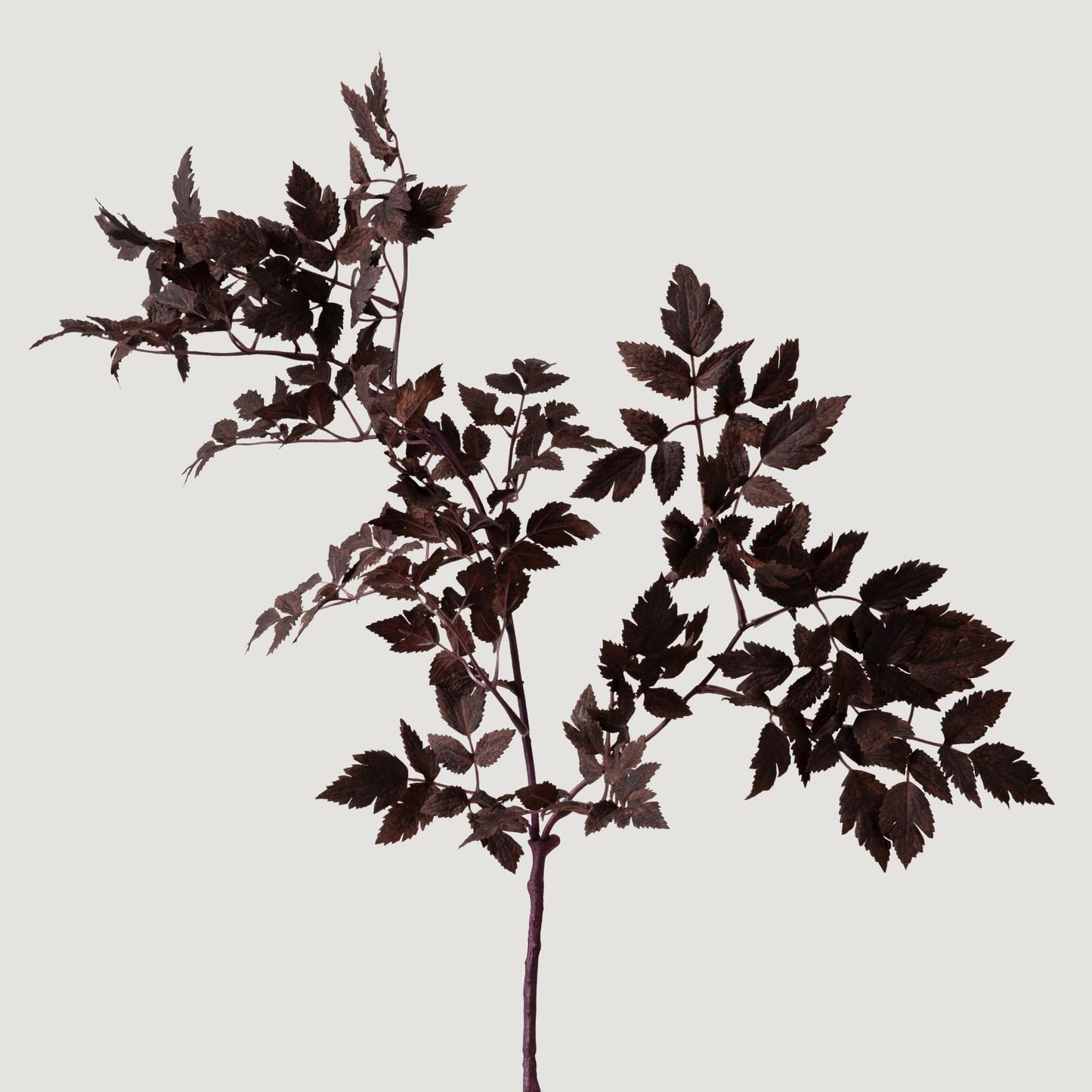 Afloral Sale Fake Plants | New Plum Artificial Cimicifuga Plant Leaf Spray - 31"