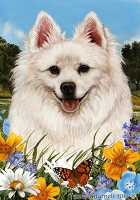 Best of Breed American Eskimo Summer Flowers Garden Flags