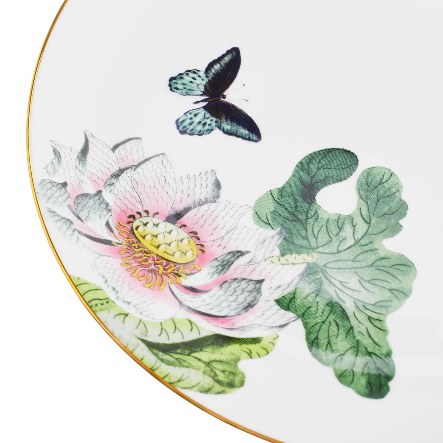 Wedgwood Wonderlust Waterlily Dinner Plate