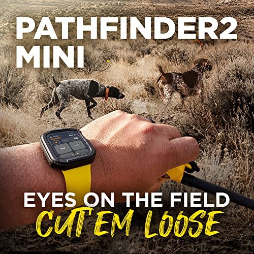 PATHFINDER2 Family