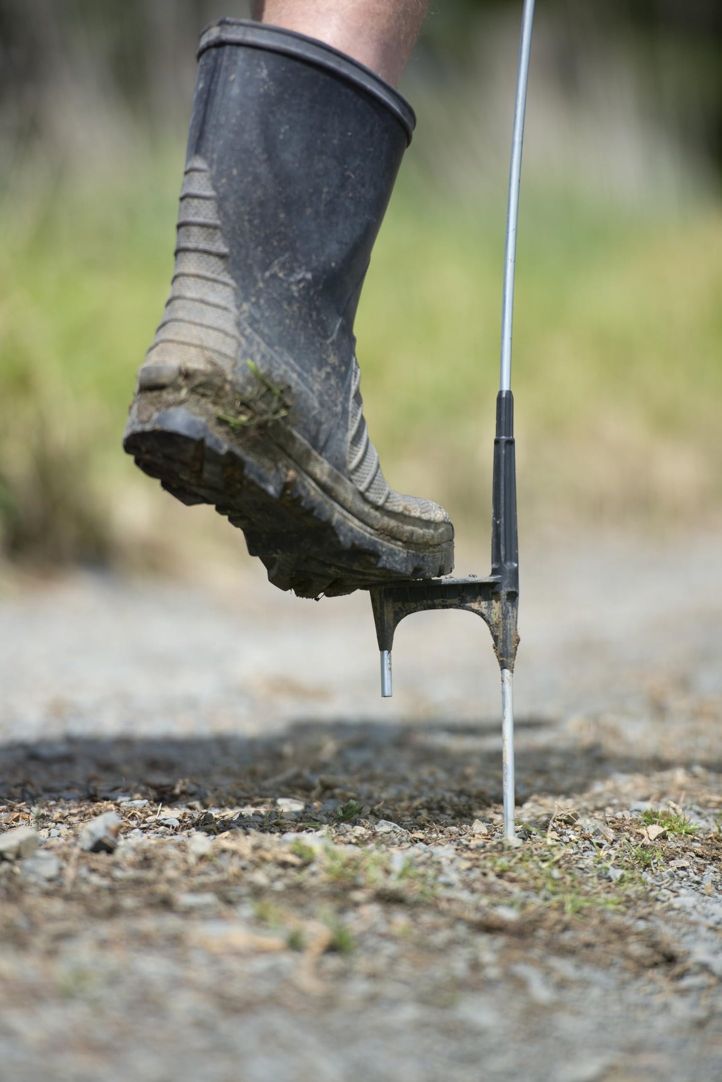Gallagher Heavy Duty Multi-Wire Ring Top Electric Fence Posts | Set of 50 Durable Steel Step in Posts for Livestock Containment, Deer Fencing, Wildlife Control