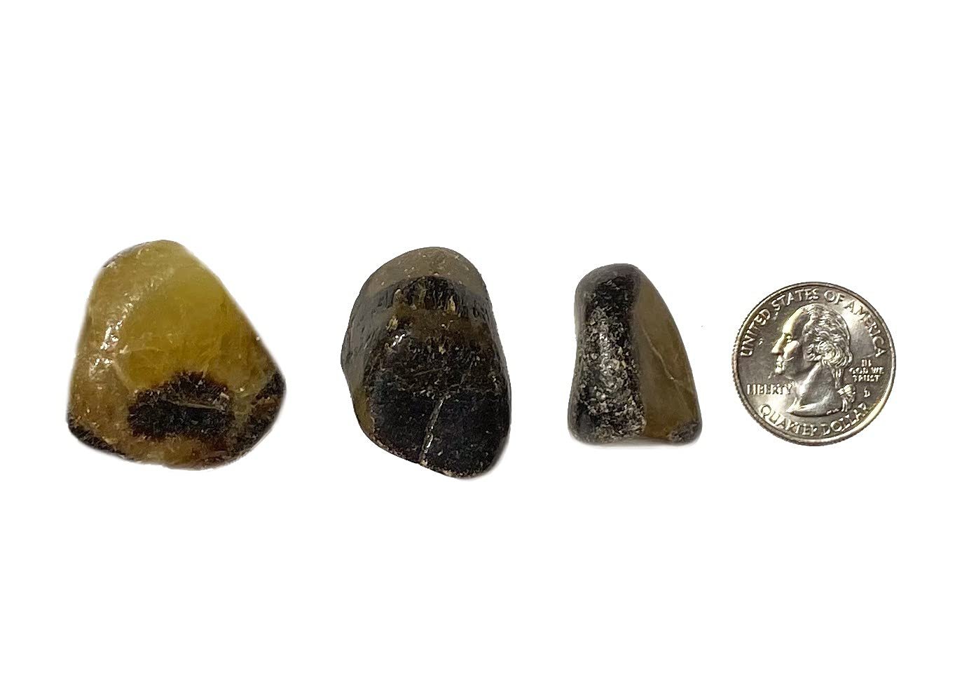 Zentron Crystal Collection Tumbled Septarian