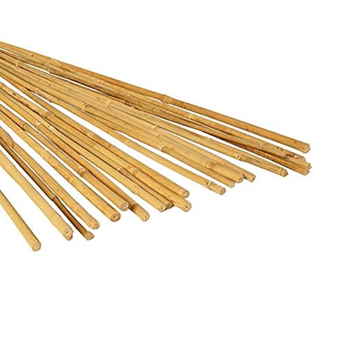Hydrofarm Natural Bamboo Stake