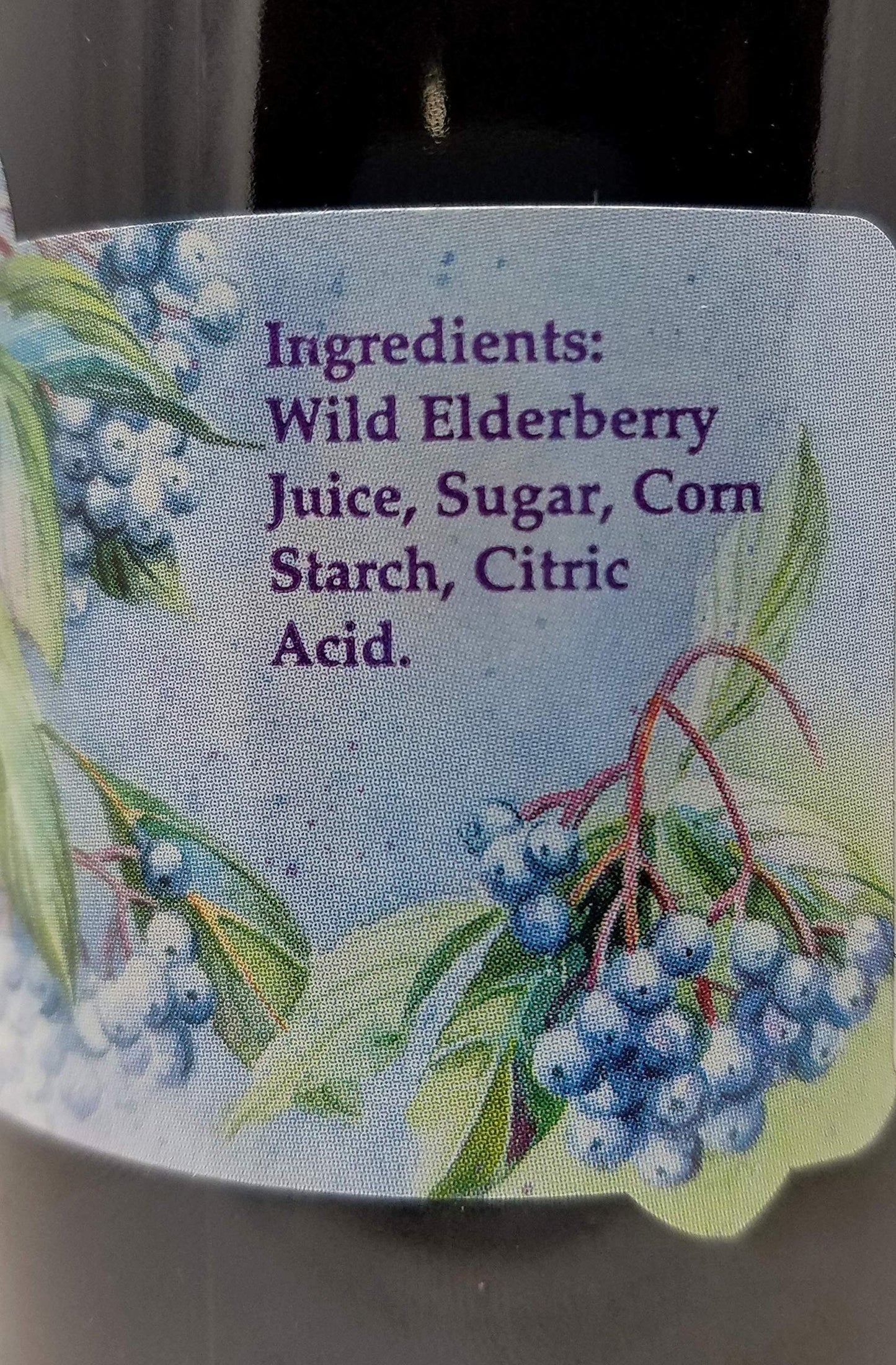 Taste the Wilderness Wild Elderberry Syrup 12 oz
