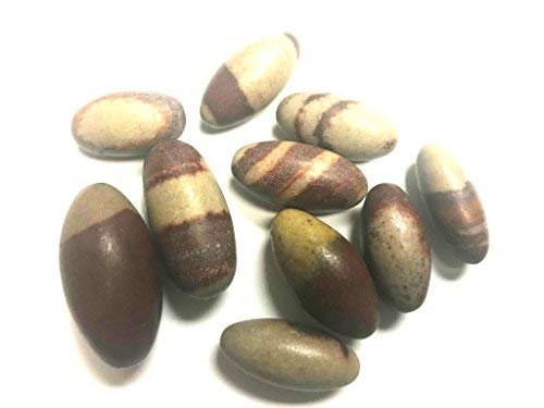Zentron Crystal Collection Shiva Lingam Egg Shaped Hand Polished Stones