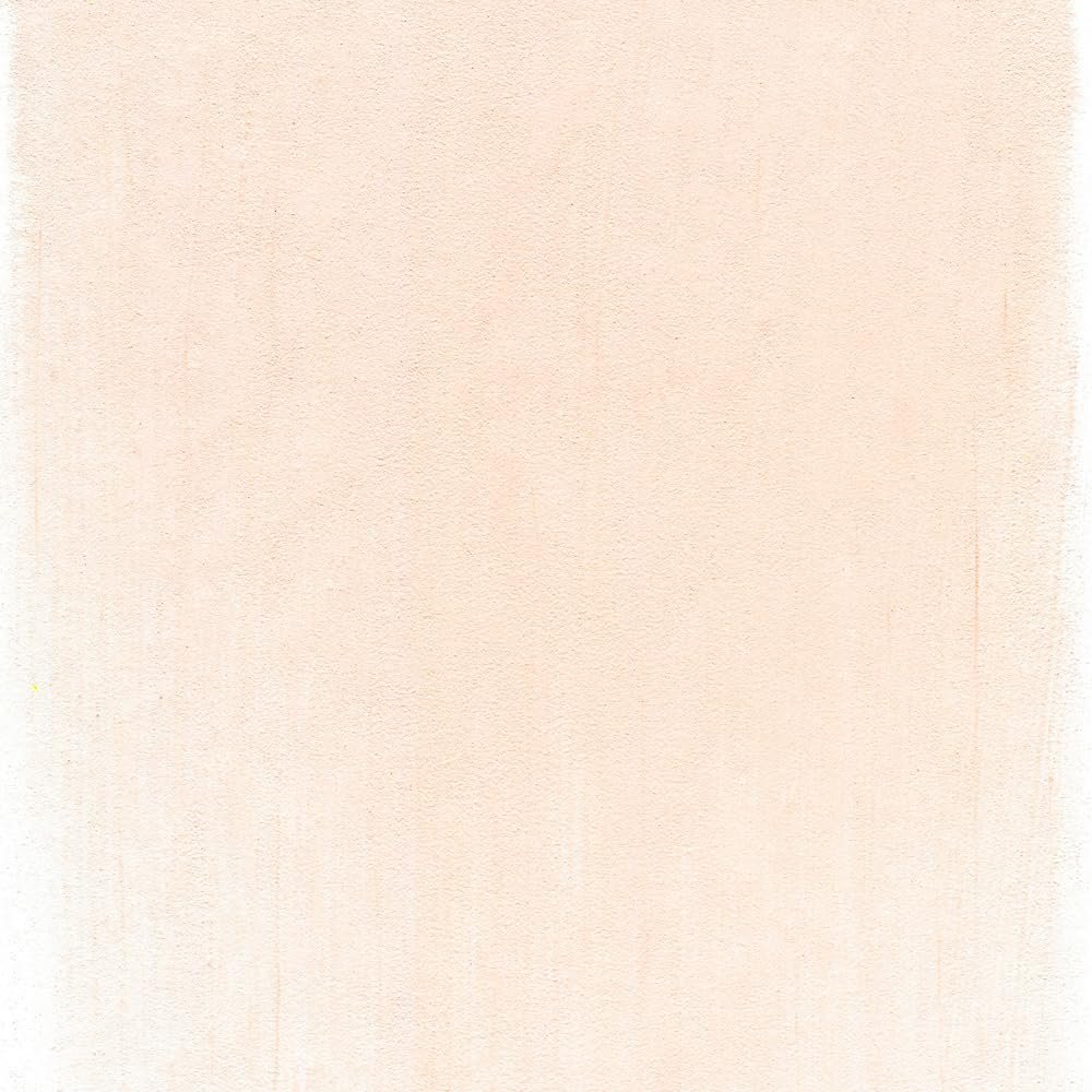 PanPastel Artist Pastels by GOLDEN, Vermilion Tint, 2.44” / 62mm Pan Diameter, Professional Artist Pastels, Unique Pan Format (cake-like)