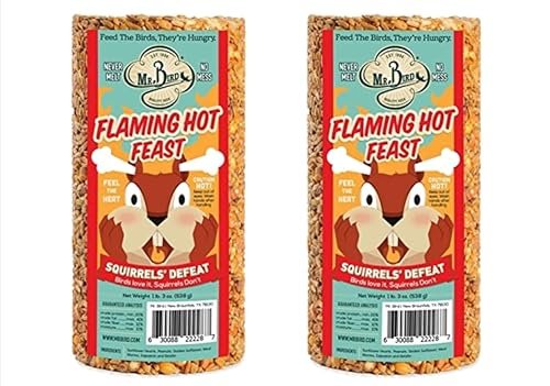 Mr. Bird Flaming Hot Feast Small Wild Bird Seed Cylinder 19 oz.