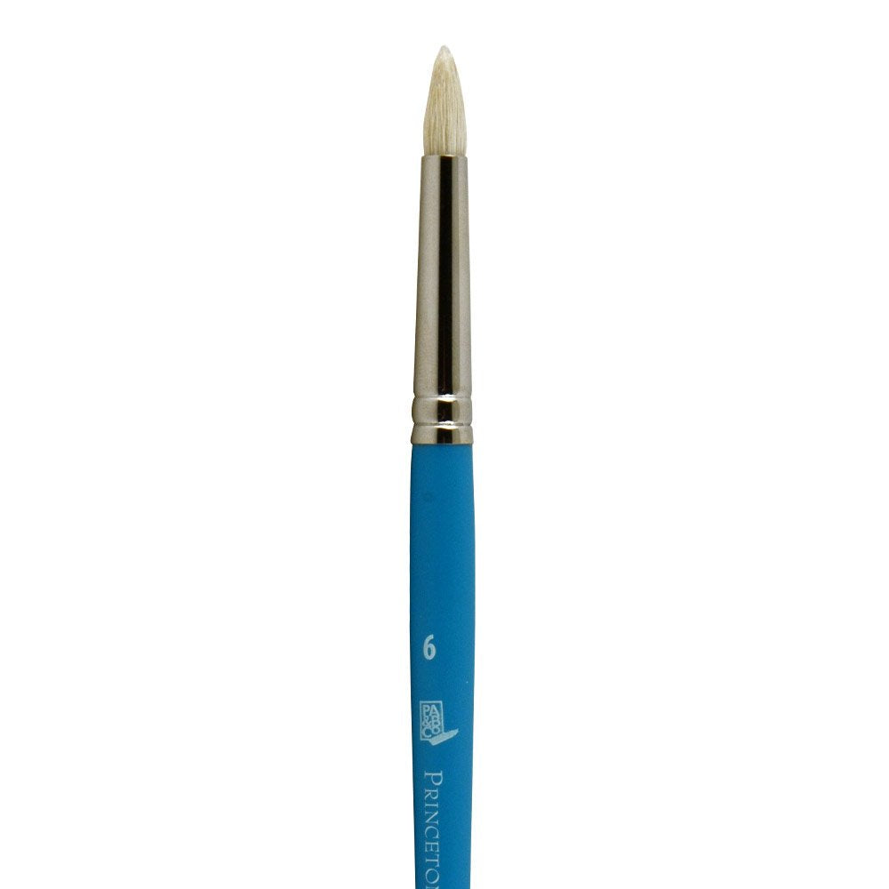 Princeton Select Artiste Dome Paintbrush, Multicolor, # 6