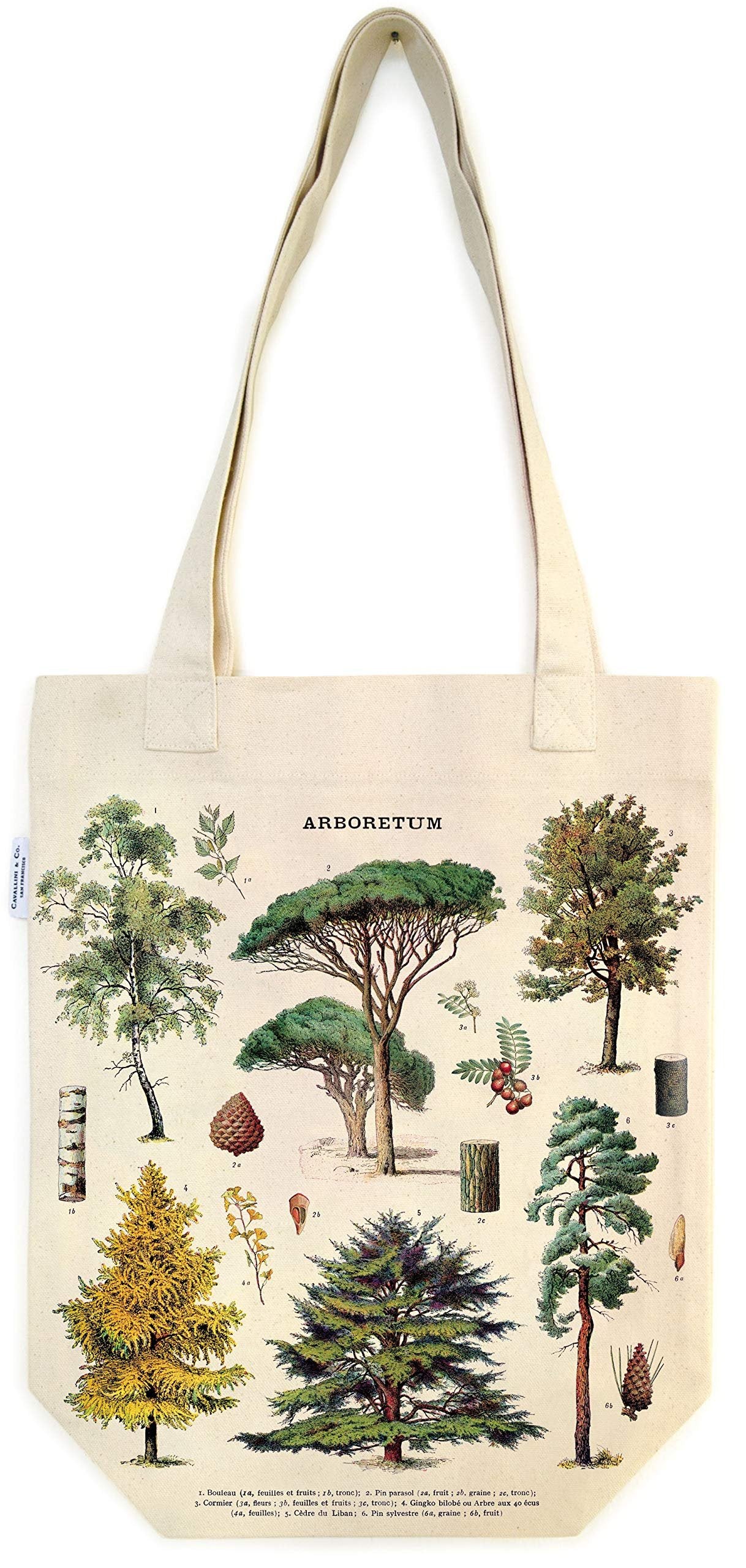 Cavallini Papers & Co. Arboretum Tote Bag, Multi