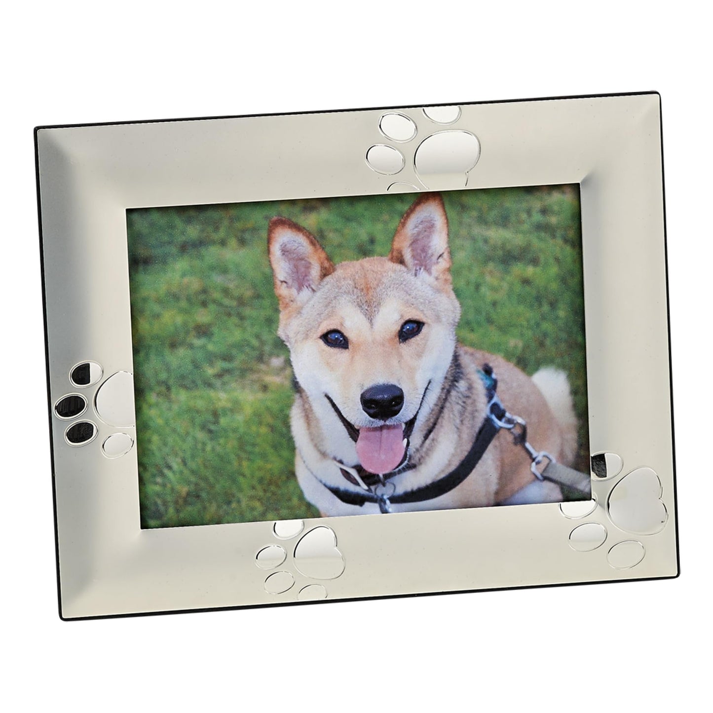 Creative Gifts International 24159 Puppy Paw Print Picture Frame, Silver, 5" x 7"-P