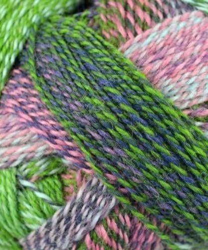 Schoppel Wolle - Zauberball Crazy Knitting Yarn - Green/ Pink/ Mint (# 2170)