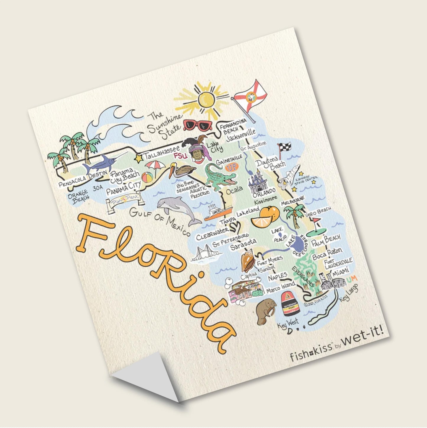 Wet-It! Swedish Dishcloth States – Reusable Paper Towels, Highly Absorbent & Biodegradable Dish Cloths, Non-Scratch, Durable, Machine Washable Cleaning Towels