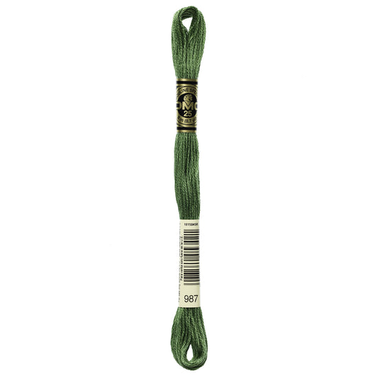 Dmc 6-Strand Embroidery Cotton 8.7yd-Dark Forest Green