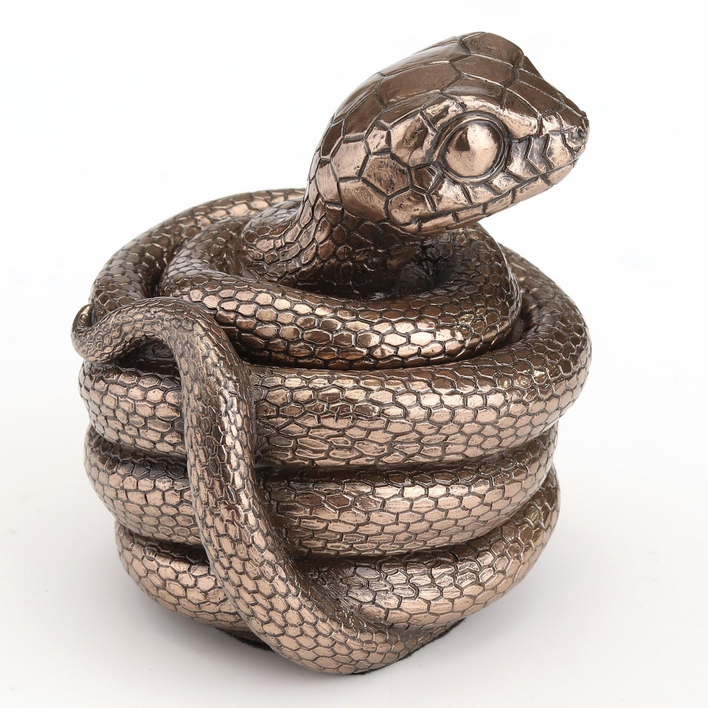 Veronese Design 3 Inch Coiling Snake Secret Trinket Stash Box Cold Cast Resin Bronze Finish Cute Animal Sculpture