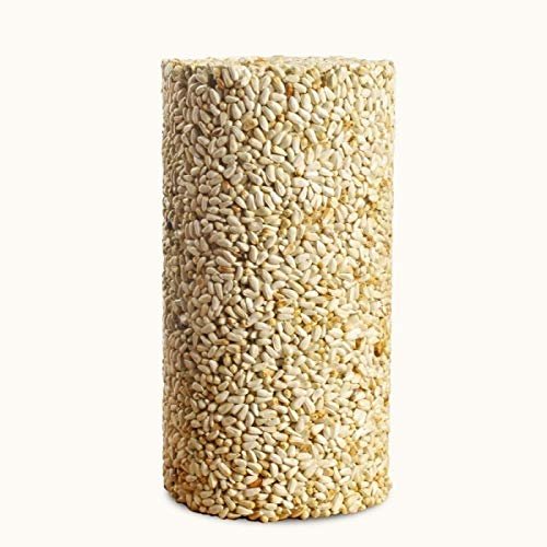 6-Pack Mr. Bird Safflower Feast Wild Bird Seed Cylinder 28oz | Wild Bird Food for Outdoor Birds | Backyard Birdfeeding | Squirrel Resistant Bird Food