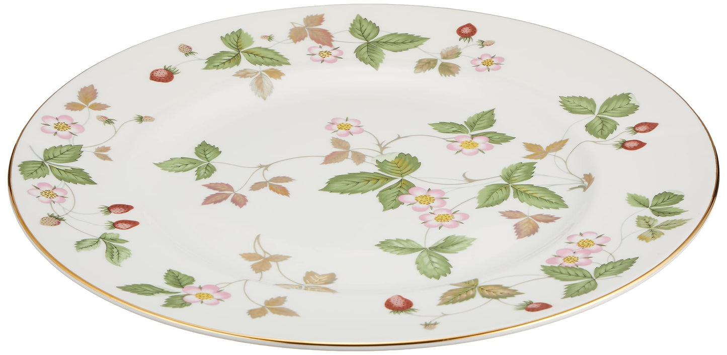 Wedgwood Wild Strawberry Dinner Plate, 10.7", Multi