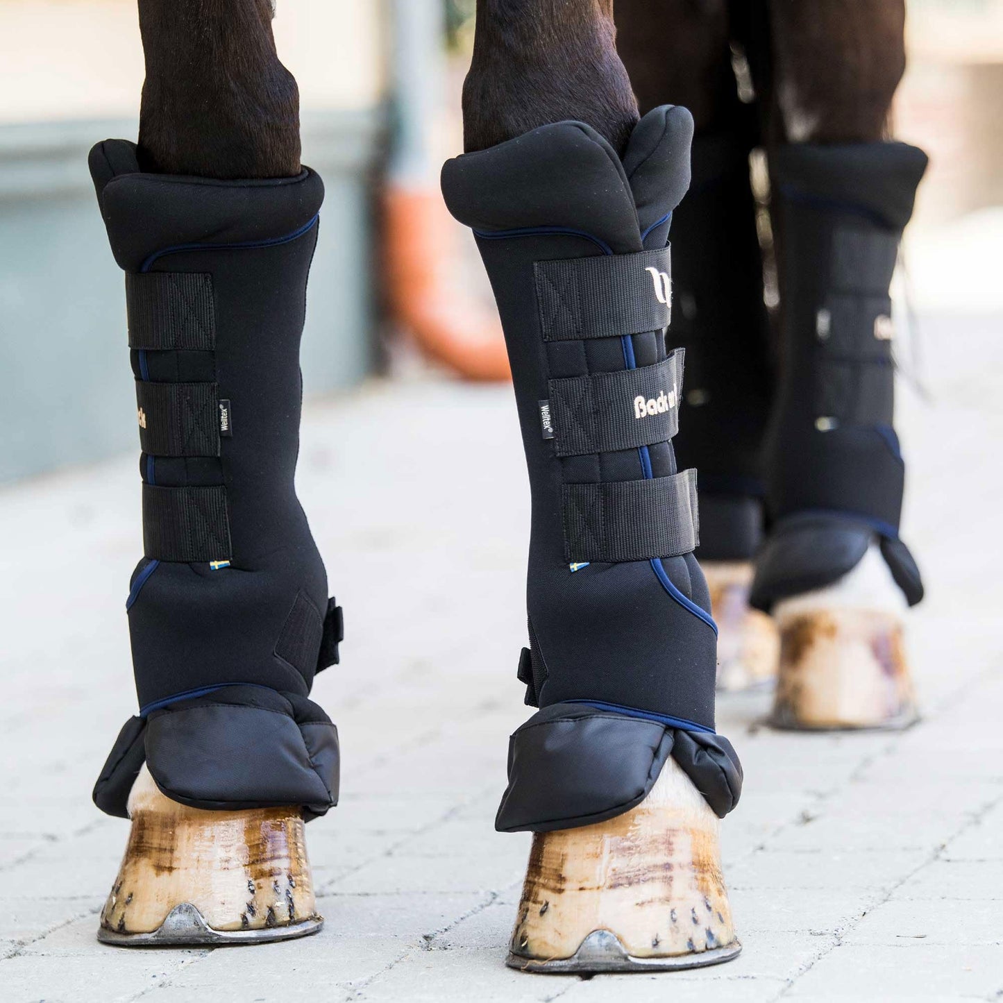 Back on Track Royal Quick Wraps Deluxe - Equestrian Sport Flexible Supportive Protective Horse Leg Wraps with Hook & Loop Closure, Pair
