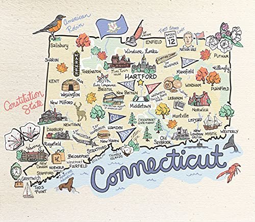 Wet-It! Swedish Dishcloth States – Reusable Paper Towels, Highly Absorbent & Biodegradable Dish Cloths, Non-Scratch, Durable, Machine Washable Cleaning Towels