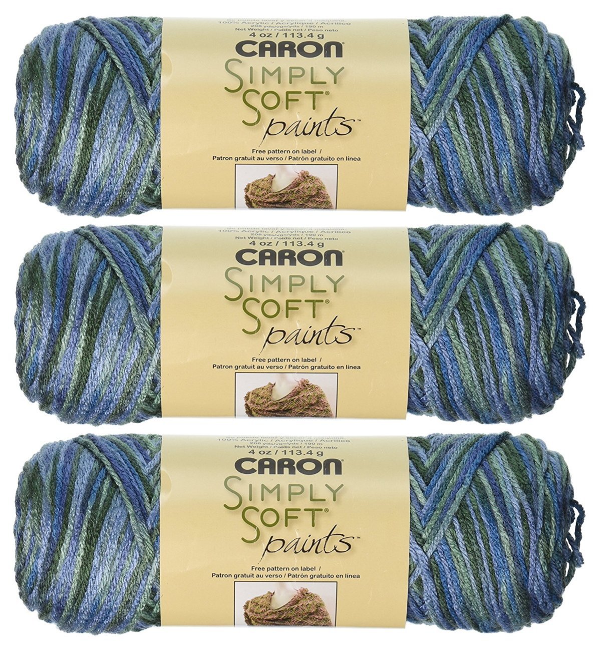 Caron Simply Soft Yarn Paints (3-Pack) Spring Brook C9700P-4