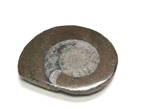 Zentron Crystal Collection Ammonite Button Fossil 1.5" with Velvet Bag