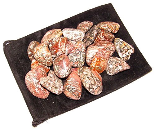 Zentron Crystal Collection: Tumbled Leopard Skin Jasper, Includes Velvet Bag - Large 1" Pieces