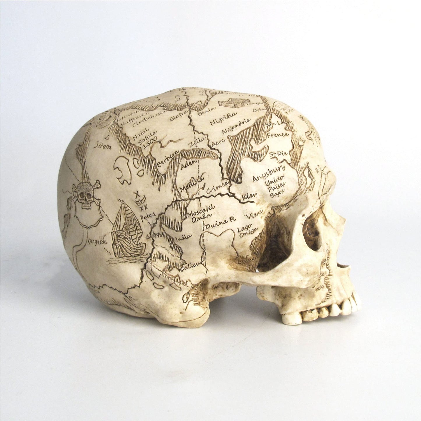 Veronese Design Craniumography Old Treasure Map Skull