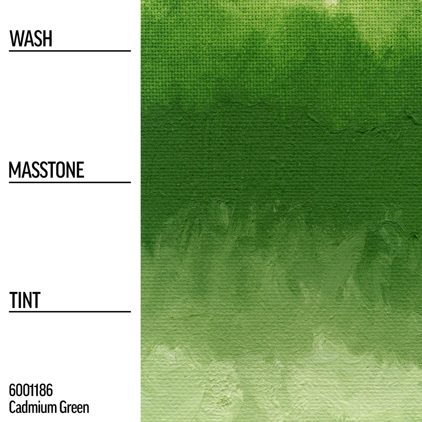 Williamsburg Artist Oil Colors by GOLDEN, Black, Gray and White, Professional Oil Paint