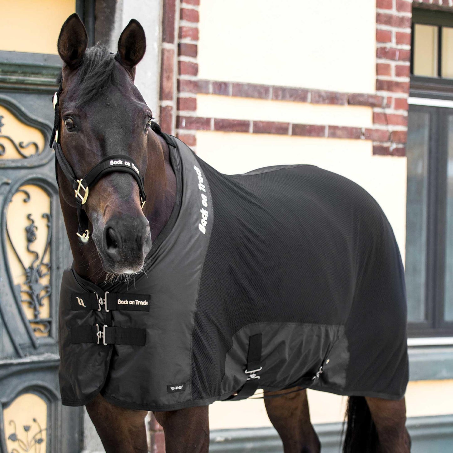 Royal Mesh Sheet for Horses 2214 Welltex Technology