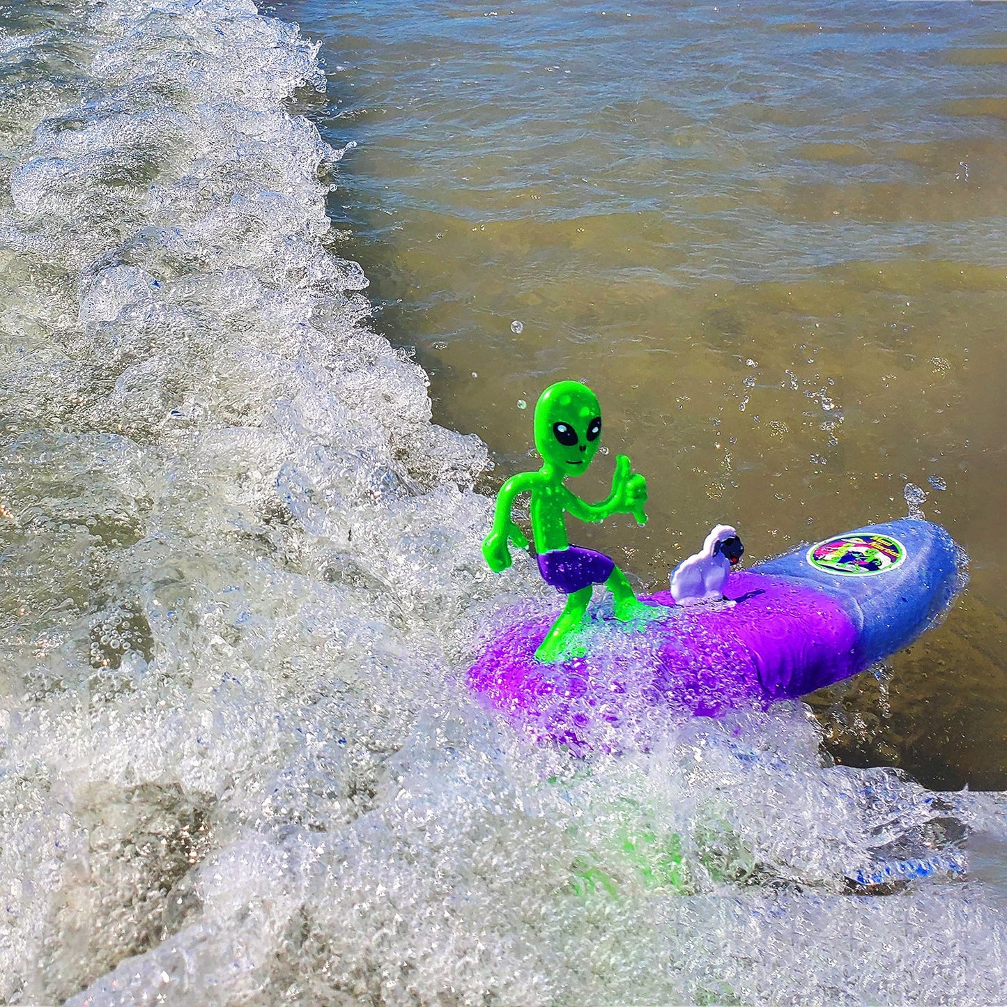 Surfer Dudes Legends & Surfer Pets Wave Powered Mini-Surfer, Pet and Surfboard Beach Toy