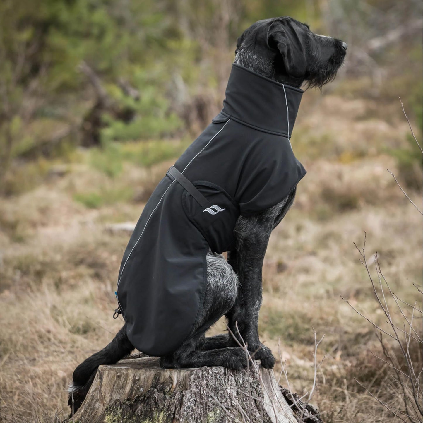 Back on Track Bark Therapeutic High Tail Set Dog Coat with Reflective Details for Safety - Ultimate Comfort & Protection for Active Dogs