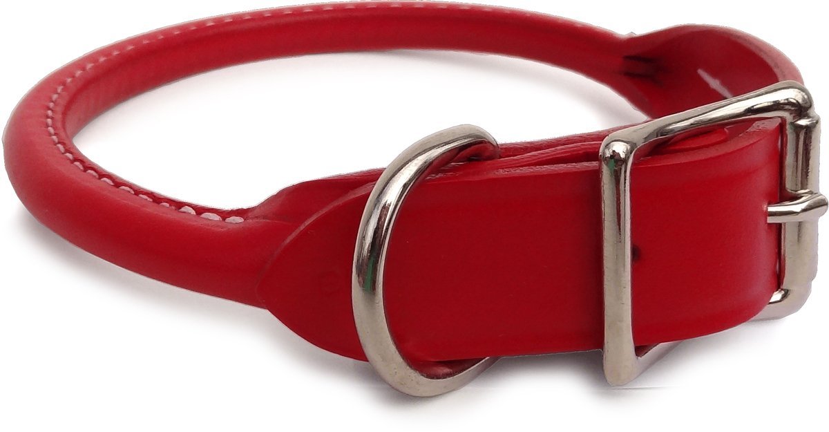Rolled Leather Collar, Classic Rounded Edges with a Nickel-Plated Buckle, A Festive Choice for Small, Medium and Large Dogs, Made in The USA