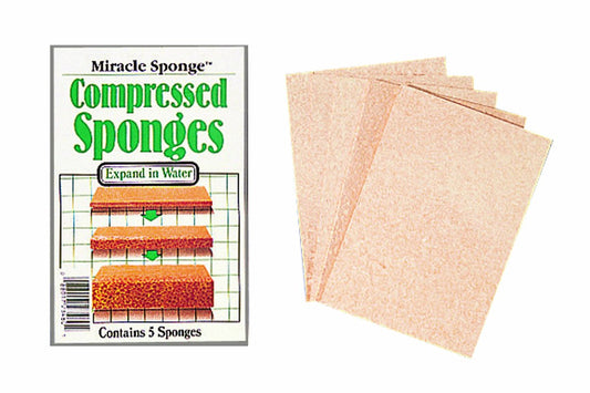 Color Wheel Compressed Sponges 4/Pkg, 3"X4"