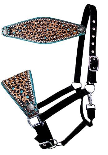 Showman Nylon Bronc Halter w/Hair-On Cheetah Print & Teal Leather Noseband, Cheetah/Teal, Average Full Size Horse
