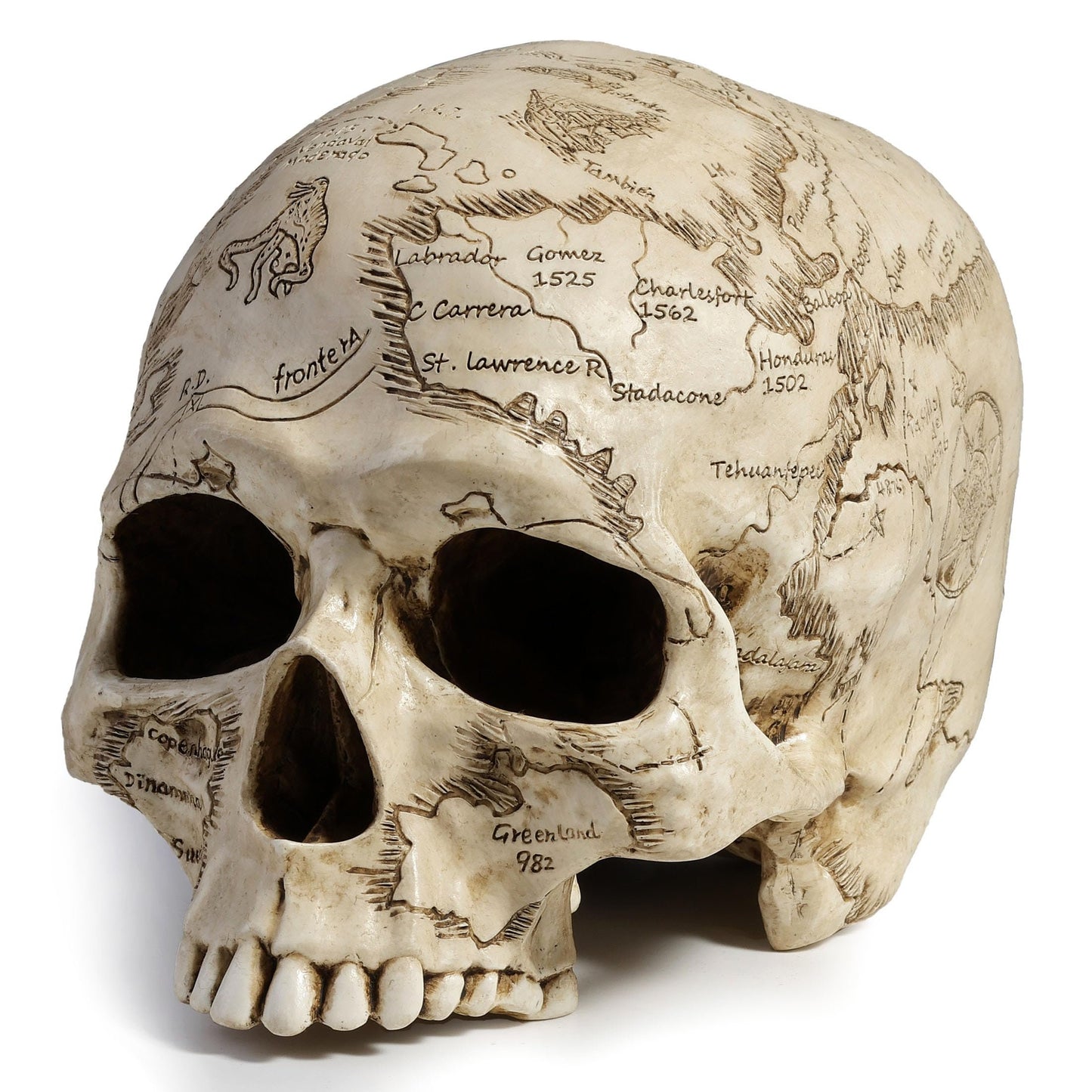 Veronese Design Craniumography Old Treasure Map Skull
