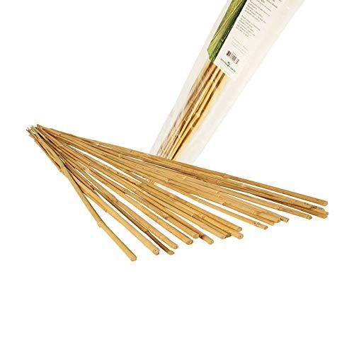 Hydrofarm Natural Bamboo Stake