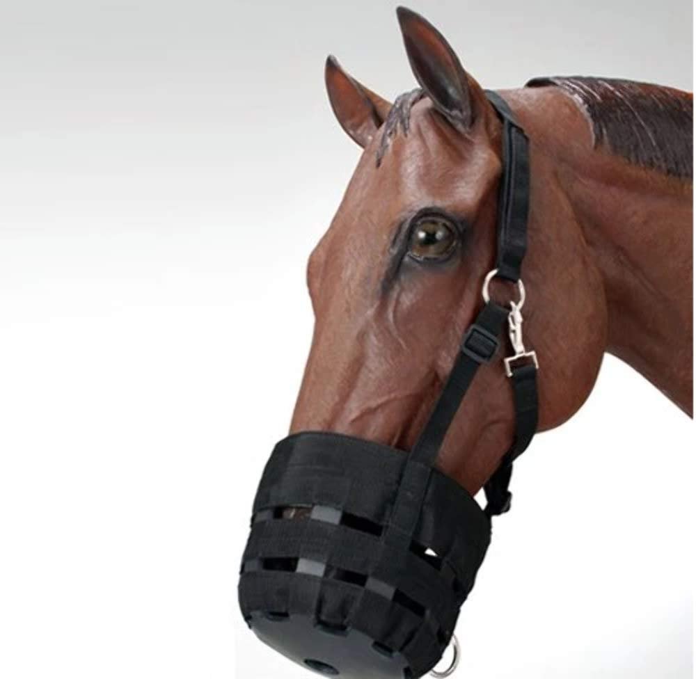Grazing Muzzle with Halter