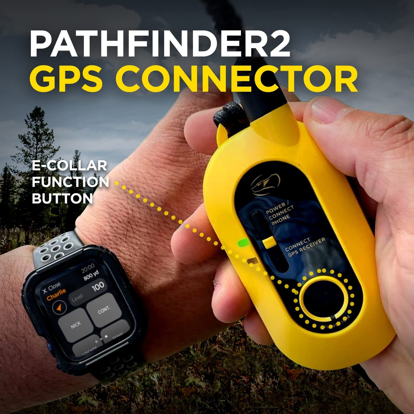 PATHFINDER2 Family