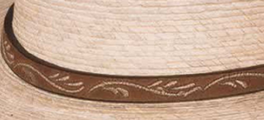 Bullhide Hats 2432 Rodeo Round-up Collection Jason 10x