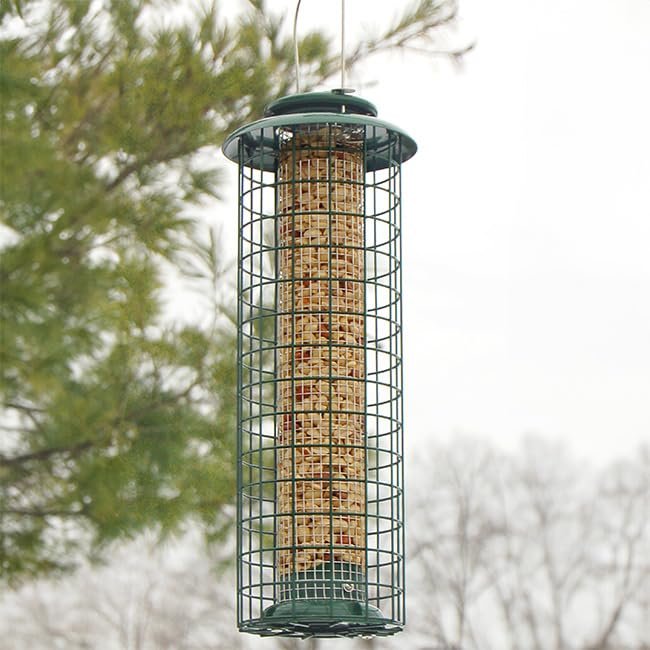 Woodlink Caged Screen Tube Bird Feeder