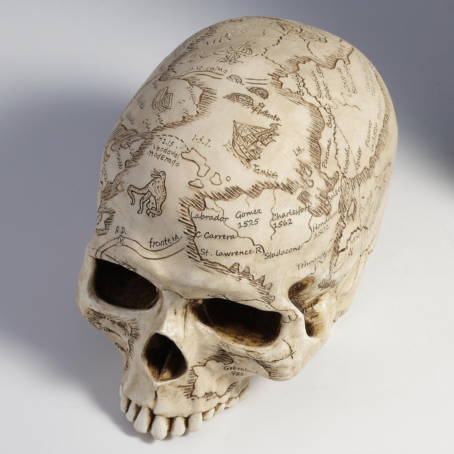 Veronese Design Craniumography Old Treasure Map Skull