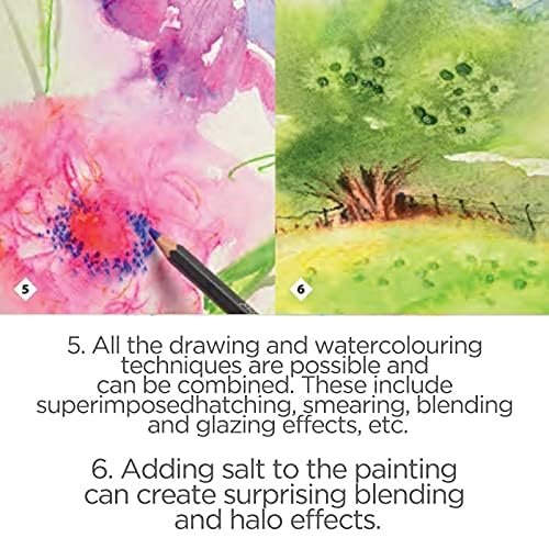 Caran d'Ache Museum Aquarelle Pencil, Paynes Grey (3510.508)