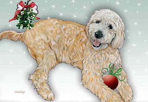 Pipsqueak Doodle Christmas Cards Set of 10 cards & 10 envelopes