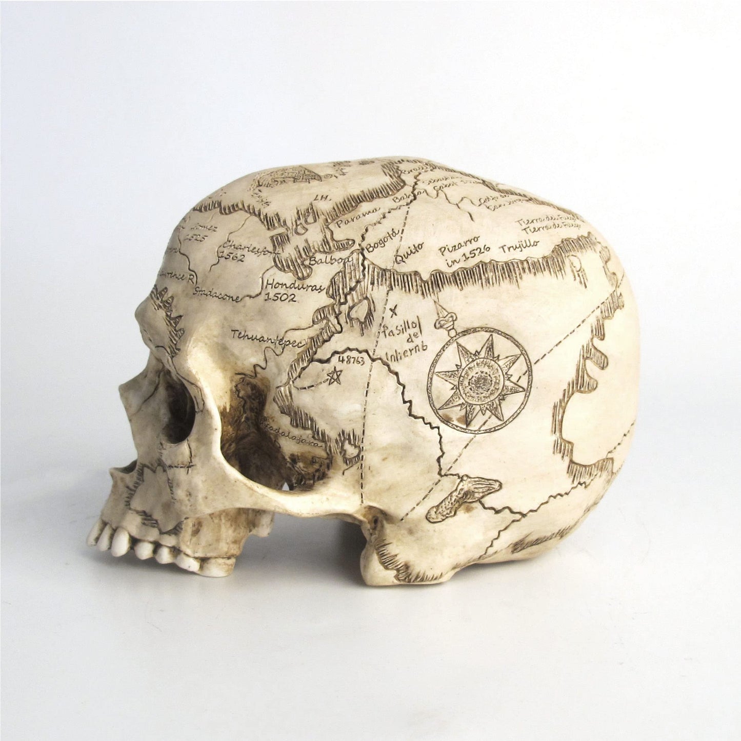Veronese Design Craniumography Old Treasure Map Skull