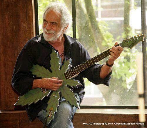 AXE HEAVEN 1:4 Scale Replica Pot Leaf Guitar Tommy Chong Pot Leaf Mini Guitar - Cheech and Chong Collectible