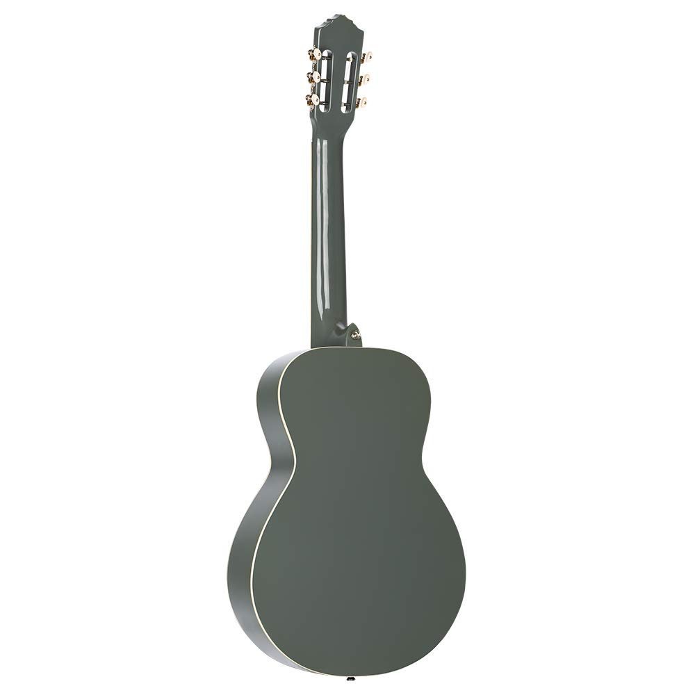 Ortega Guitars 6 Gaucho Series Nylon String Parlor Guitar w/Bag, Right, Platinum Grat (RGA-PLT)