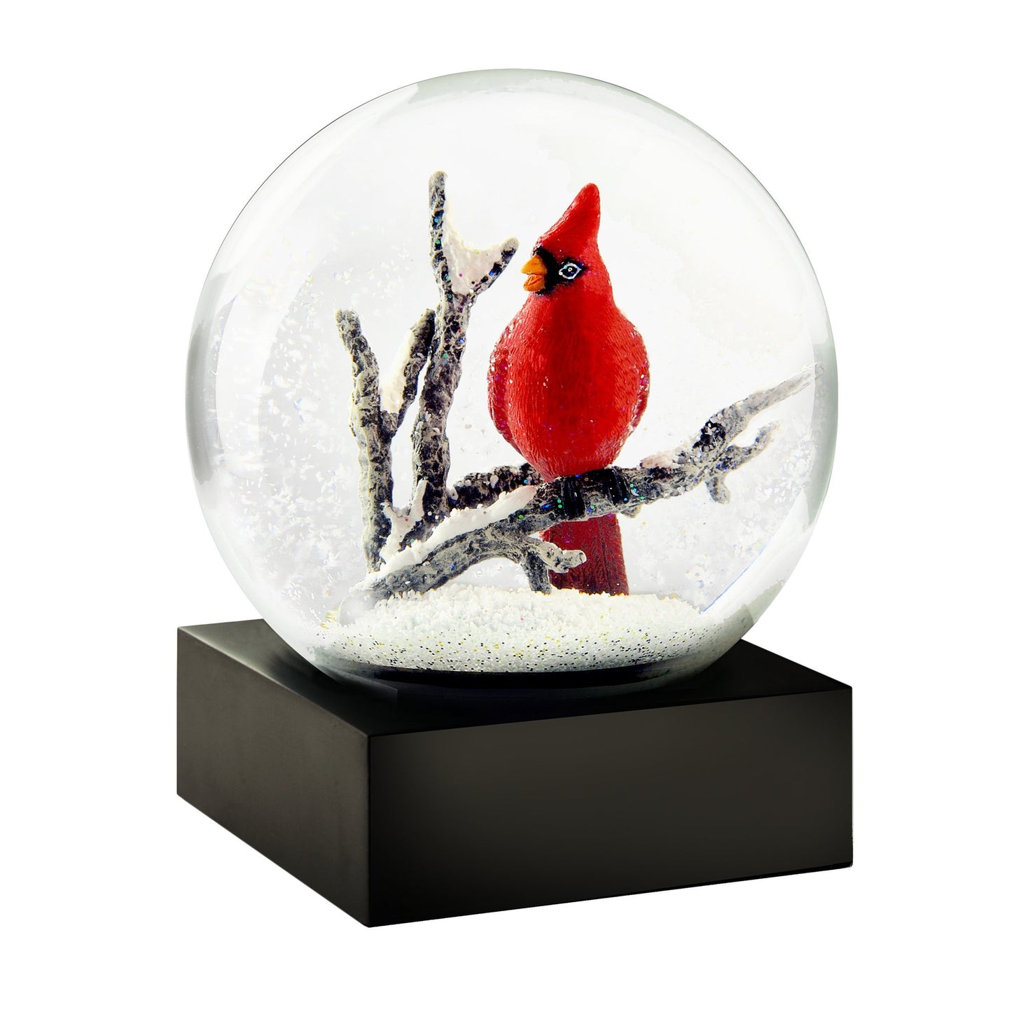 CoolSnowGlobes Wild Birds of Nature Snow Globes